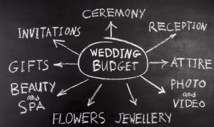 Wedding budget infographic
