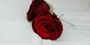 Winter wedding ideas- Red roses on an open book