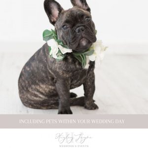 French Bulldog With Flower collar